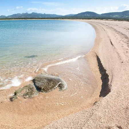 公寓 Leone Flat Vi 15' Palau, 30' Porto Cervo & Private Terrace *