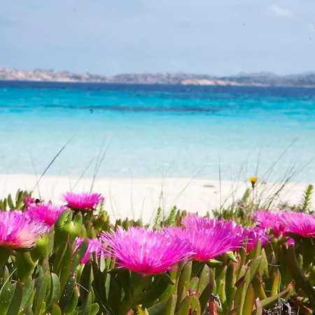 公寓 Leone Flat Vi 15' Palau, 30' Porto Cervo & Private Terrace