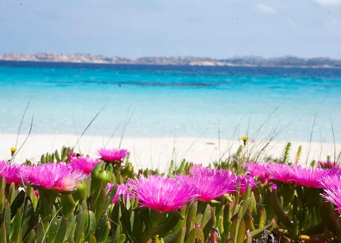Apartman Leone Flat Vi 15' Palau, 30' Porto Cervo & Private Terrace
